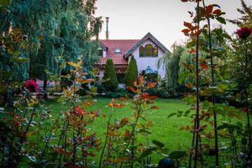 Фотографии Отели типа «постель и завтрак» Daiconi Boutique House г. Miniş (Румыния) №1 Фото Отели типа «постель и завтрак» Daiconi Boutique House г. Miniş 1