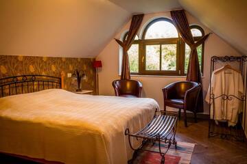 Фотографии Отели типа «постель и завтрак» Daiconi Boutique House г. Miniş (Румыния) №2 Фото Отели типа «постель и завтрак» Daiconi Boutique House г. Miniş 2