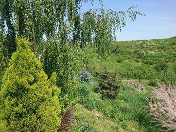 Фото номера Апартаменты Дома для отпуска Pure Nature Refuge Appartment г. Miniş 16
